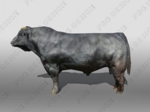 bull Modelo 3D