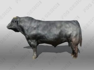 Stier 3D Modell