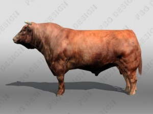 bull Modelo 3D