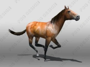 cheval Modèle 3D