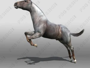 horse 3D Model