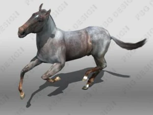 horse 3D Model