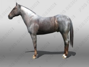 horse Modelo 3D
