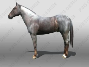 horse 3D Model