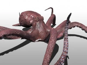 pieuvre Modèle 3D