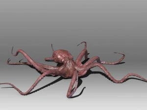 octopus 3D Model