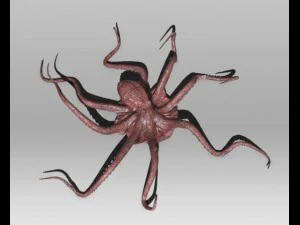 octopus 3D Model