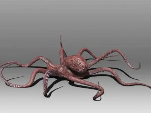 octopus 3D Model