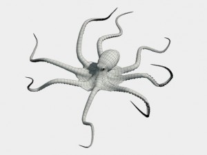 octopus Modelo 3D