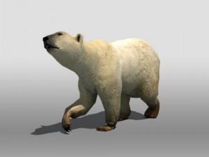 polar bear Modelo 3D