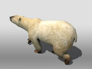 polar bear Modelo 3D