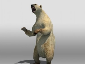 polar bear Modelo 3D