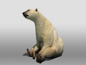 polar bear Modelo 3D