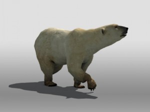 polar bear Modelo 3D