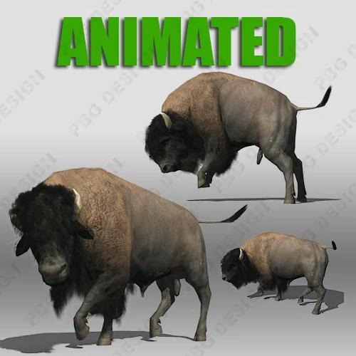 buffalo 3D Model .c4d .max .obj .3ds .fbx .stl .blend 