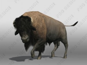 buffalo Modèle 3D
