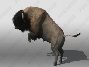 buffalo Modèle 3D