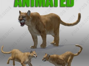 mountain lion 3D-Modell