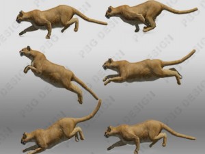 mountain lion Modelo 3D