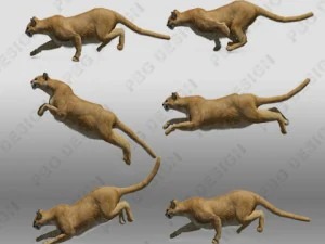 mountain lion 3D Model