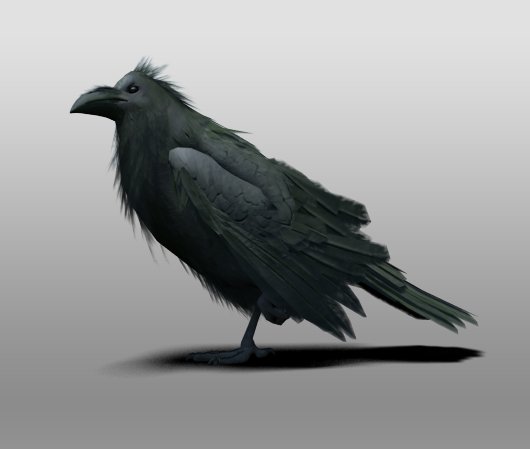 raven Modelo 3D .c4d .max .obj .3ds .fbx .stl .blend 