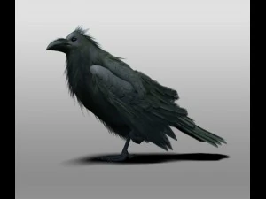 カラス 3Dモデル