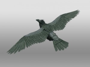 raven Modelo 3D