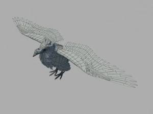 raven 3D Model