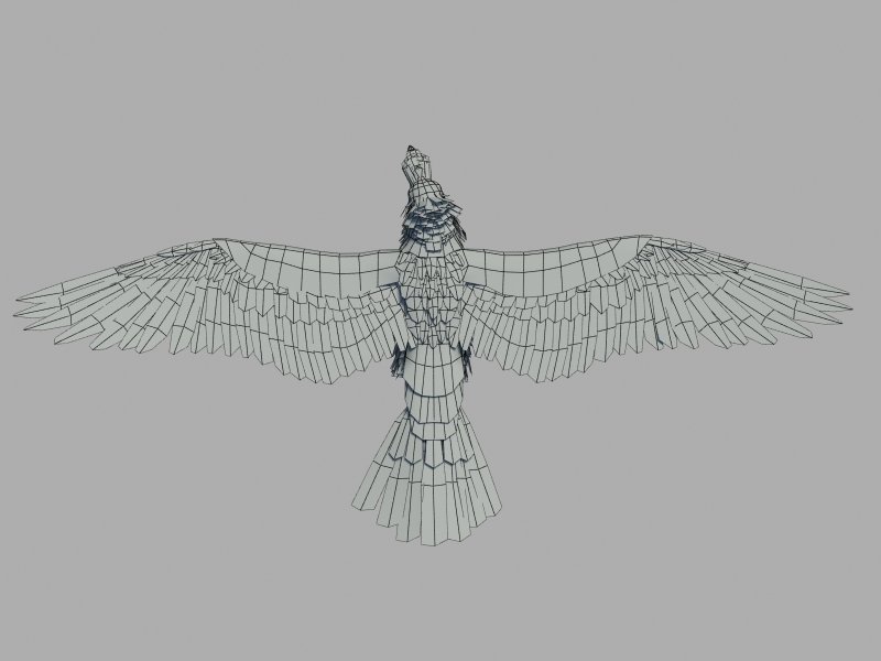 Raven 3d Model In Bird 3dexport