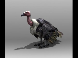 vulture 3D-Modell