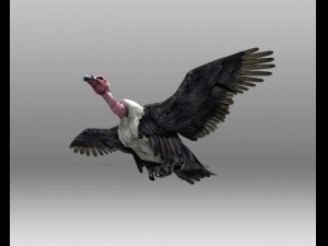 vulture Modelo 3D