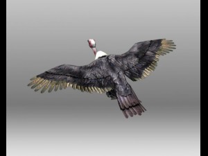 vulture Modelo 3D