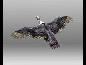 vulture 3D Model