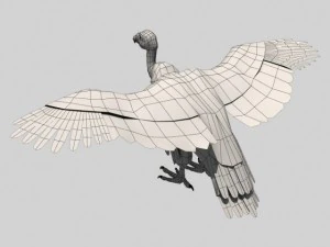 vulture 3D Model