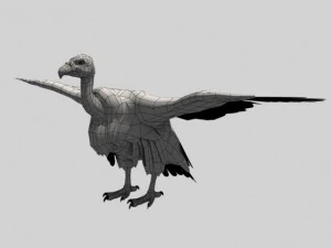 vulture 3D Model