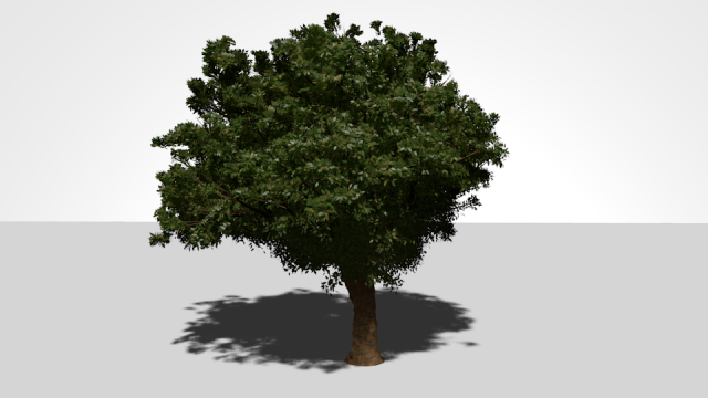 high quality tree 3D Model .c4d .max .obj .3ds .fbx .stl .blend 