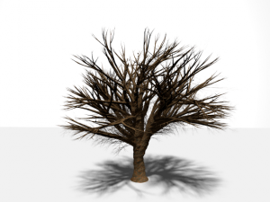 high quality tree 3D Model