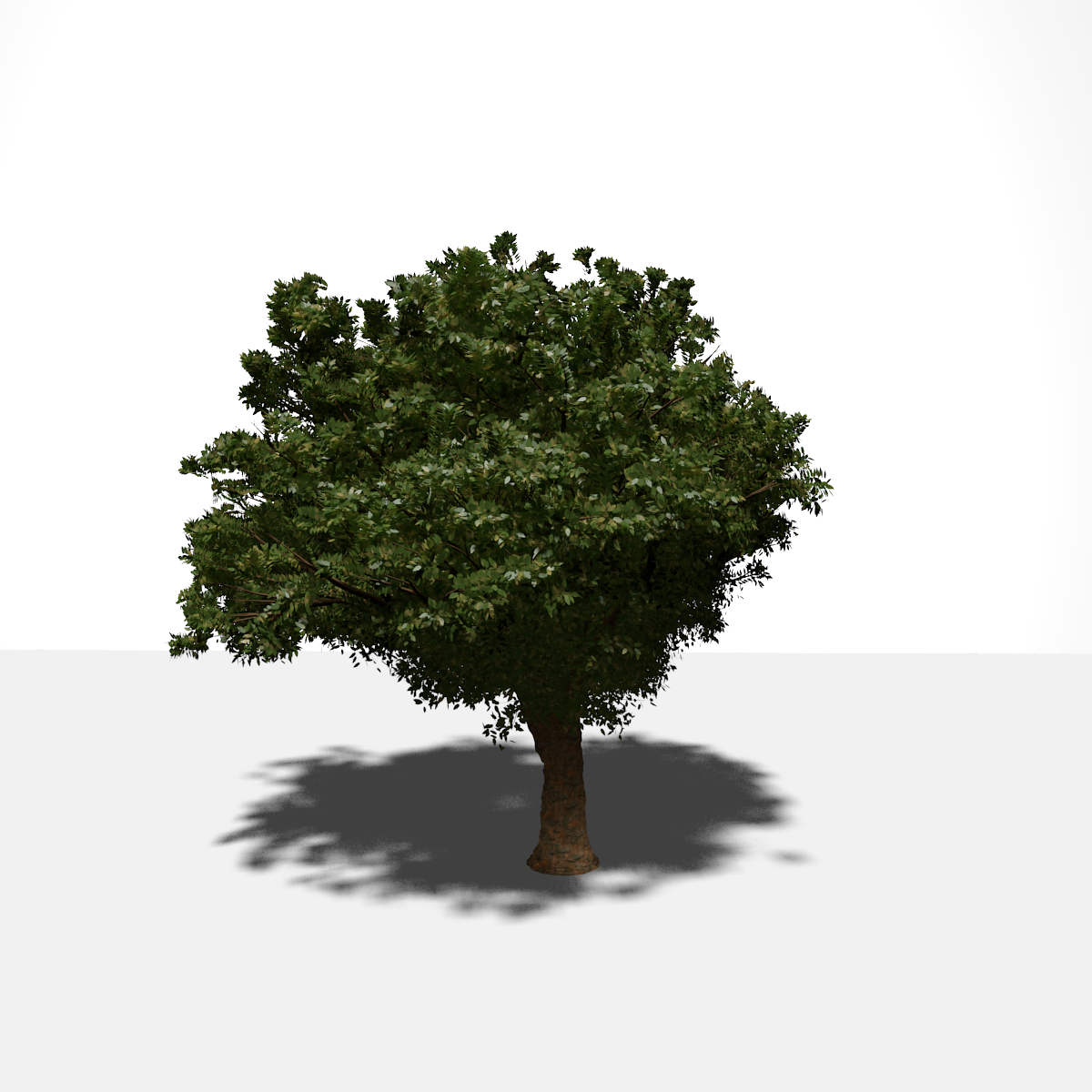 Дерево в 3 d. Лоу Поли дерево 3ds Max. Деревья для 3d Max. Реалистичное дерево. 3d модель дерева.