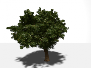 high quality tree 3D Model
