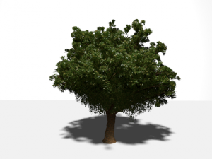 high quality tree 3D Model