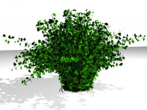 3d bush model 3D Модель
