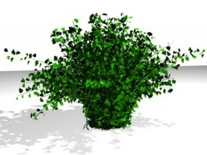 3d bush model 3D Model