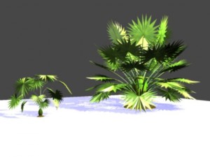 palm frond 3D Model
