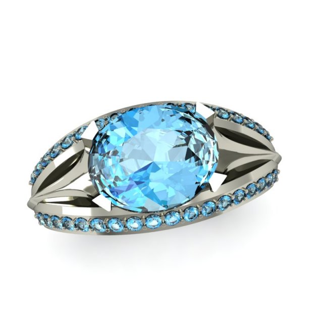 ring 3D 模型 .c4d .max .obj .3ds .fbx .stl .blend 
