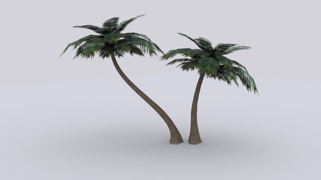 palm 3D Model .c4d .max .obj .3ds .fbx .stl .blend 