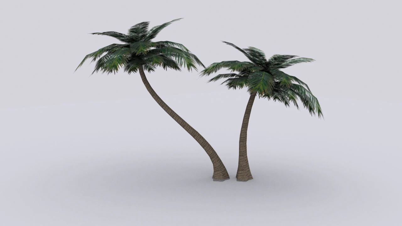 palm 3D Model .c4d .max .obj .3ds .fbx .stl .blend 