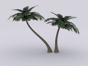 palm Modelo 3D
