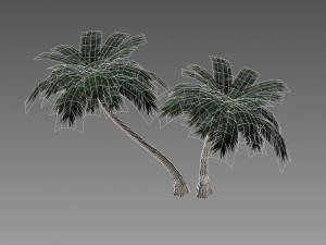 palm 3D Model