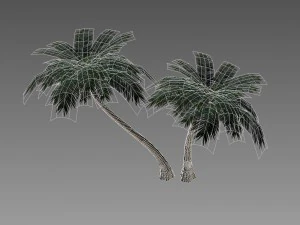 palm 3D Model