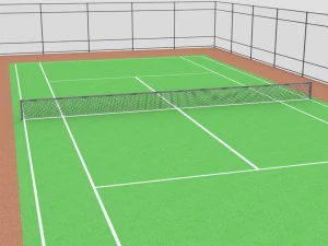 tenesny court 3D Model